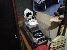 ちびを確保しました。
