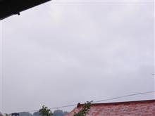 ７月１０日　グズグズな天気が続く土曜日、おはよ～♪