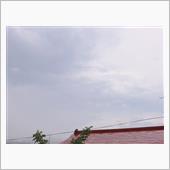 ７月１１日　また雨模様になり ...