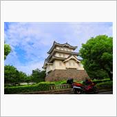 行田市といえば古代蓮に田んぼ ...