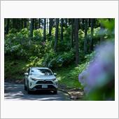 RAV4 PHV でアジサイ ...