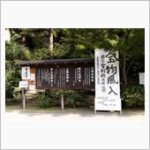風入れ🎐二回目