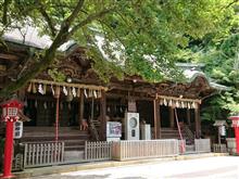 週末のボランティアと、お疲れ様の珈琲と、最後はまさかの大蛇(オロチ）に遭遇🤣