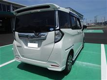怪我したルーミーの移植手術
