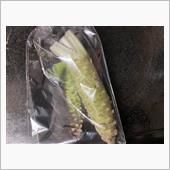 伊豆のわさび