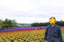 夏の北海道旅行６日目(最終日）、四季彩の丘、青い池、ファーム富田、五郎の家、鉄道員の駅など。