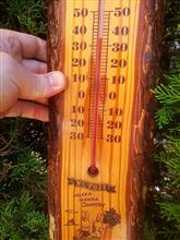 真夏 嘘だと言って日陰で34℃なんて。