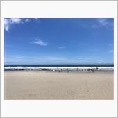 海