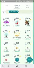Pokemon festival Pokemon festival