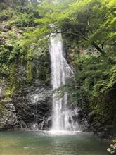 バルサンから避難