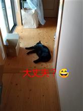 副反応は