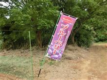 テナガエビを釣る。