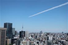 ブルーインパルス見れました