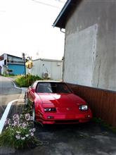 Z31  昭和・平成の草むらヒーロー
