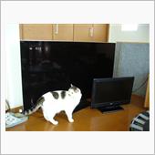 家のテレビが・・・
