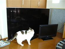 家のテレビが・・・