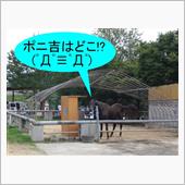 ポニ吉フォーエバー！　(ノ; ...