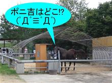 ポニ吉フォーエバー！　(ノ;&#180;Д`)ノ