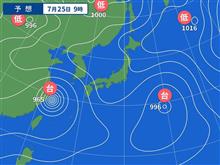 畑の草対応☆彡