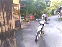今朝もツー