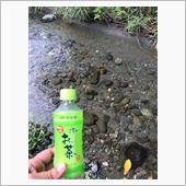 避暑 / 群馬にて