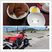 ソースカツ、ドン