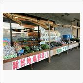 ナローたちと箱根へ