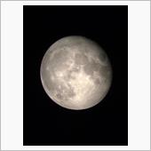 今日は十六夜月