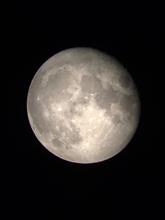 今日は十六夜月