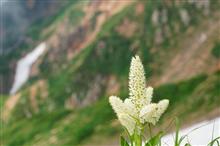 北アルプスの洗礼　唐松岳登山　後編