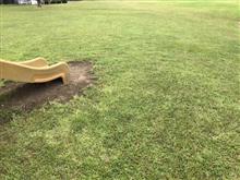 公園清掃の日