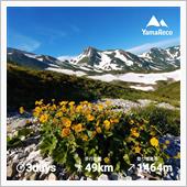 2021 北アルプスお花見山 ...