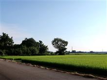 空を見る