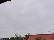 ８月８日　スッキリしない天気な日曜日、おはよ～♪