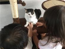 癒しもあれば。