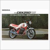 CBX250RS  リヤタイ ...