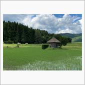 遠野詣り　神々が住む美しの里 ...