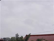 ８月１０日　雨の一日になりそうな火曜日、おはよ～♪
