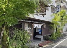 今年はいつもより綺麗だよ！