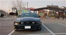 今週もムスタングでスタート 今週もムスタングでスタート