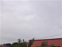 ８月１２日　またスッキリしない天気が戻ってきた木曜日、おはよ～♪