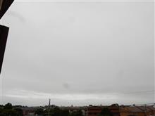 ８月１７日　雨模様になりそうな火曜日、おはよ～♪
