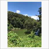 夏本番ですね！？