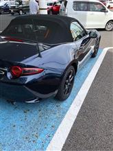 ディープクリスタルブルー見学