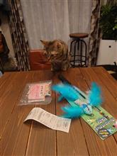 ハナの4歳の誕生日プレゼント