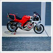 ラッキーストライク  GSX ...
