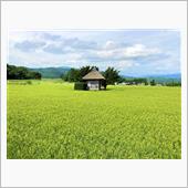 遠野詣り　神々が住む美しの里 ...