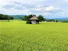 遠野詣り　神々が住む美しの里　14