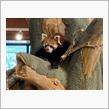 動物園へ