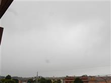 ８月２３日　蒸し暑さが続く月曜日、おはよ～♪